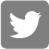 Twitter Icon